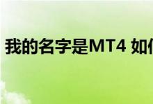 我的名字是MT4 如何复制跨花雨峡通关攻略