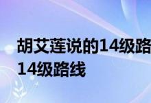 胡艾莲说的14级路线策略 胡艾莲说如何通过14级路线