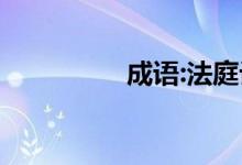 成语:法庭记录43个答案