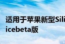 适用于苹果新型SiliconMac的MicrosoftOfficebeta版