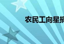 农民工向星捐款采访视频感人