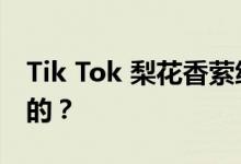Tik Tok 梨花香萦绕衣襟 这首歌是什么 谁唱的？