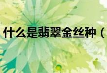 什么是翡翠金丝种（翡翠金丝种的简单介绍）