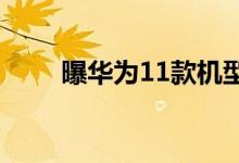 曝华为11款机型将适配Android Q