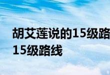 胡艾莲说的15级路线策略 胡艾莲说如何通过15级路线
