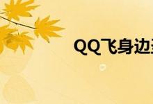 QQ飞身边圣光雪狐强吗？