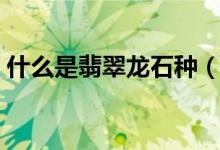 什么是翡翠龙石种（翡翠龙石种的简单介绍）