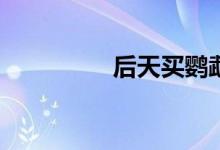后天买鹦鹉礼包划算吗？