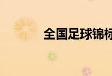 全国足球锦标赛在线时间介绍