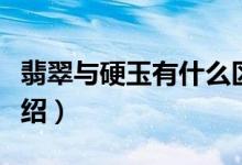翡翠与硬玉有什么区别（翡翠玉硬玉的区别介绍）