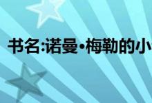 书名:诺曼·梅勒的小说《出售布鲁克林公寓》