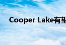 Cooper Lake有望在2020年上半年实现