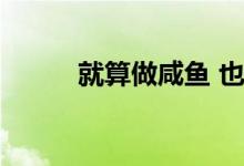 就算做咸鱼 也要做一张最咸的图