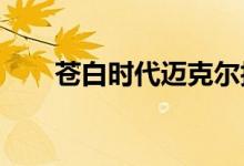 苍白时代迈克尔技能加成和组队推荐