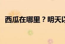 西瓜在哪里？明天以后怎么才能吃到西瓜？