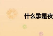 什么歌是夜晚的美丽噩梦？