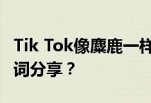 Tik Tok像麋鹿一样闯入花园 什么是歌名和歌词分享？
