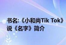 书名:《小和尚Tik Tok》是哪部小说？Tik Tok的小道士小说《名字》简介