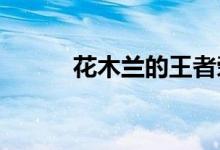 花木兰的王者荣耀团队作战思想