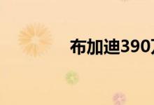 布加迪390万美元全新力作