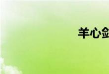 羊心剑炼玉配方