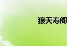 狼天寿阁下层怎么走？