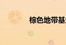棕色地带基金是重建的关键