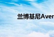 兰博基尼Aventador的跑车到达
