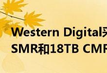 Western Digital采样了世界上第一个20TB SMR和18TB CMR硬盘