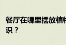 餐厅在哪里摆放植物？餐厅里的植物有哪些知识？