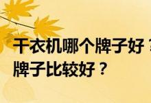 干衣机哪个牌子好？想问一下国产干衣机哪个牌子比较好？