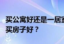 买公寓好还是一居室好？谁知道买公寓好还是买房子好？