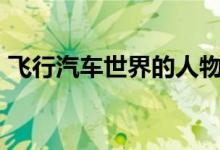 飞行汽车世界的人物最高等级(满级)是什么？