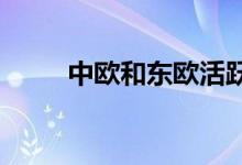 中欧和东欧活跃的商业房地产投资