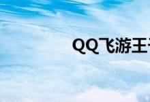QQ飞游王子魅影多少钱？