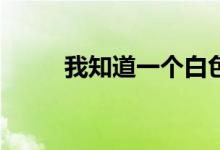 我知道一个白色情侣手盆怎么样？
