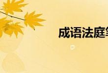 成语法庭笔记36个答案