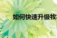如何快速升级牧羊心？快速升级方法
