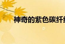 神奇的紫色碳纤维迈凯轮P1登陆伦敦