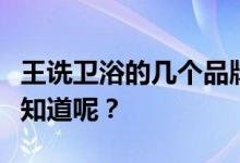 王诜卫浴的几个品牌？王诜卫浴是品牌吗？谁知道呢？