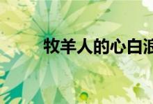 牧羊人的心白浪和激流布罗基插图