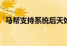 马帮支持系统后天如何掌握马帮支持系统？