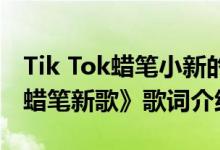 Tik Tok蜡笔小新的新歌叫什么名字？小新《蜡笔新歌》歌词介绍