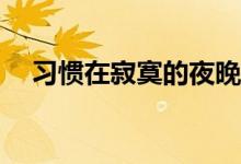 习惯在寂寞的夜晚独自躲藏的歌是什么？
