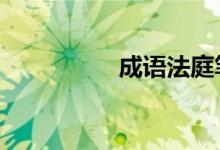 成语法庭笔记37个答案