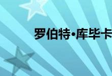罗伯特·库毕卡说他可能会回到F1