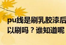 pu线是刷乳胶漆后安装的吗？pu线乳胶漆可以刷吗？谁知道呢？
