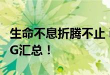 生命不息折腾不止 iOS 10—IOS10.3各种BUG汇总！