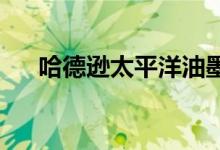 哈德逊太平洋油墨102 KSF好莱坞更新