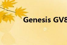 Genesis GV80内饰斑马纹迷彩